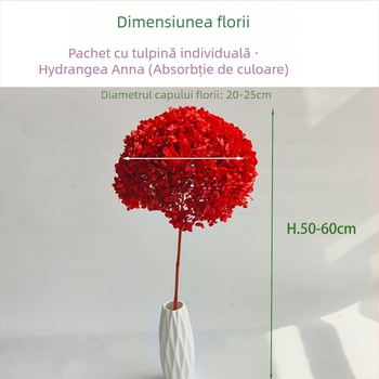 Anna hortensia – flori păstrate, flori uscate pe creangă, vopsite, pentru buchet