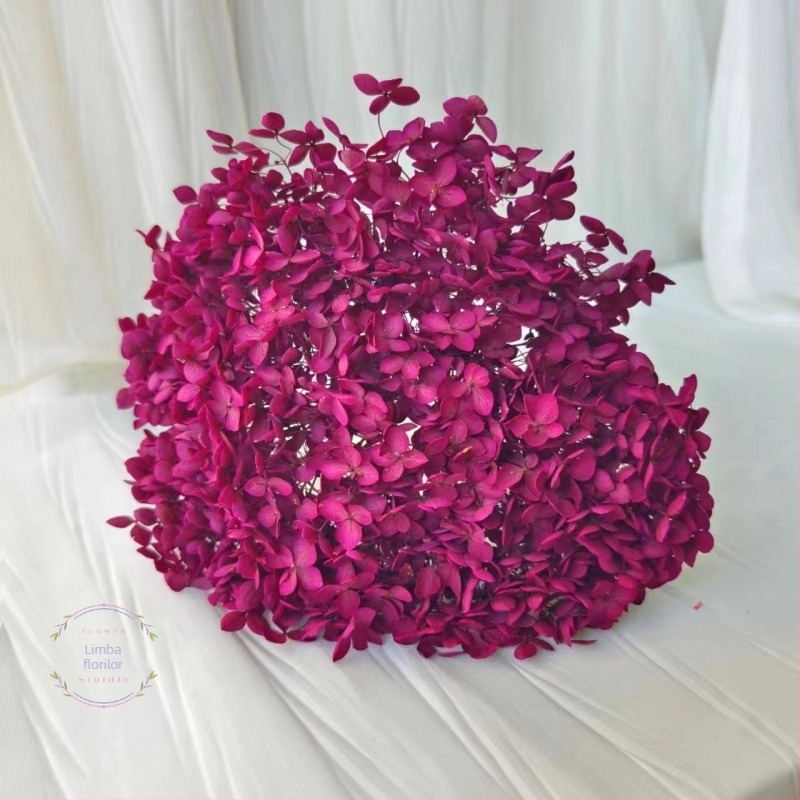 Anna hortensia – flori păstrate, flori uscate pe creangă, vopsite, pentru buchet
