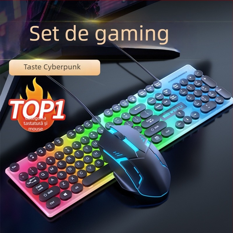 Set tastatură cu cablu Punk keycap și mouse RGB, 104 taste, USB, cablu de 1.3 m, ergonomic, logo imprimabil, mouse optic 1000dpi