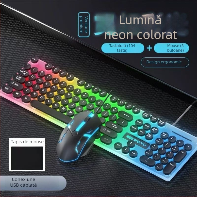 Set tastatură cu cablu Punk keycap și mouse RGB, 104 taste, USB, cablu de 1.3 m, ergonomic, logo imprimabil, mouse optic 1000dpi