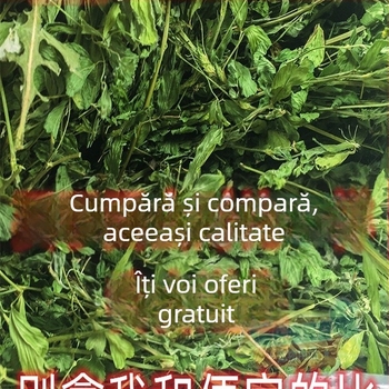 Hrană umedă cu lucernă pentru iepuri adulți, porcușori de Guinea și chinchile