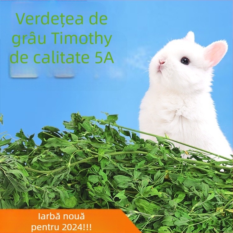 Hrană umedă cu lucernă pentru iepuri adulți, porcușori de Guinea și chinchile