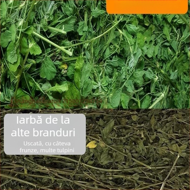 Hrană umedă cu lucernă pentru iepuri adulți, porcușori de Guinea și chinchile