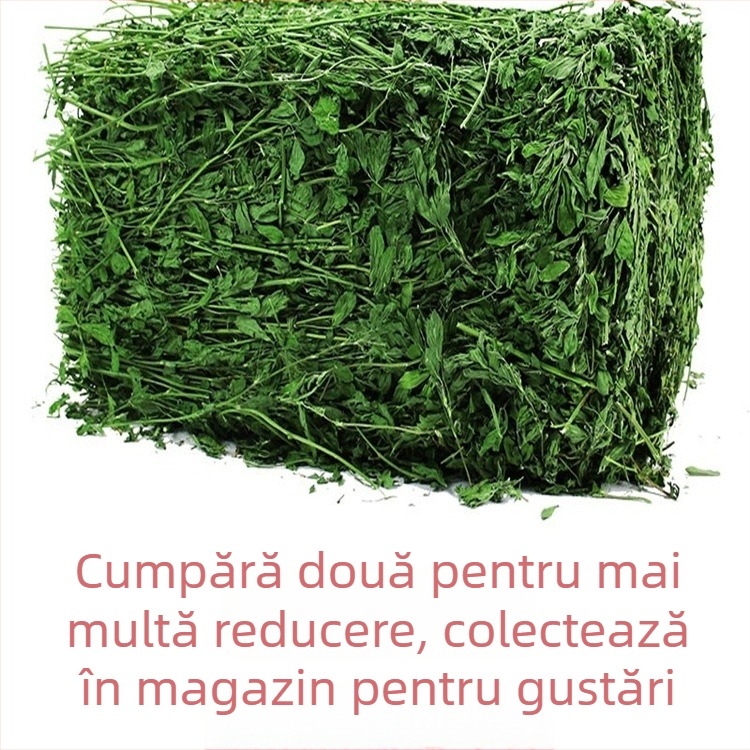 Hrană umedă cu lucernă pentru iepuri adulți, porcușori de Guinea și chinchile