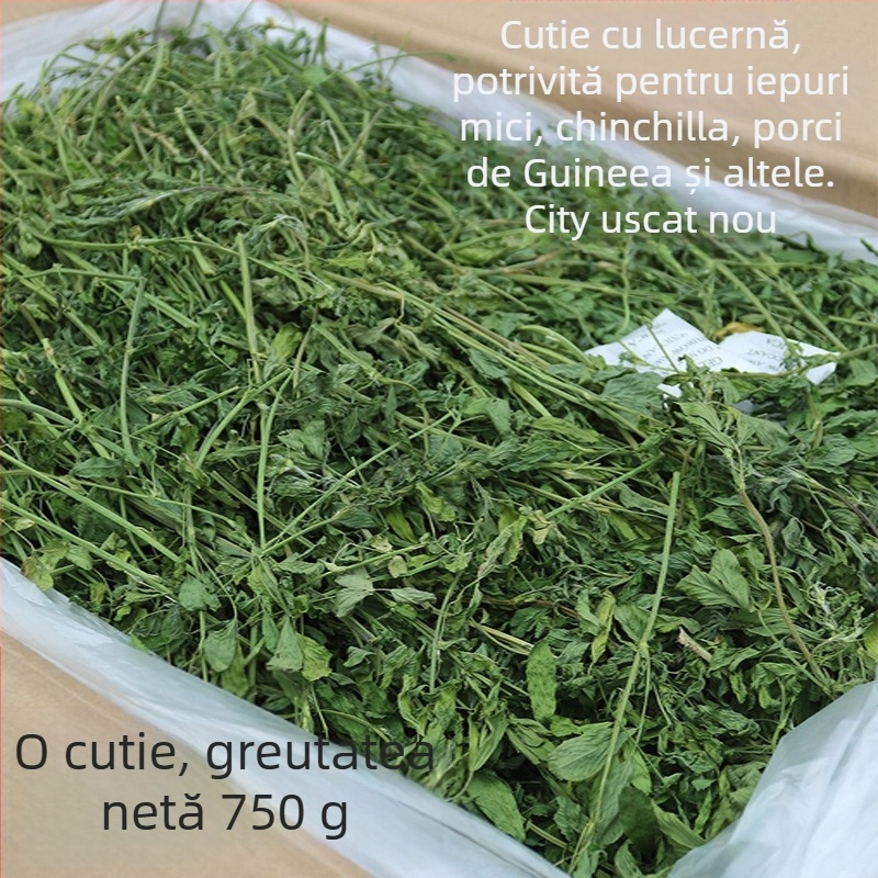 Hrană umedă cu lucernă pentru iepuri adulți, porcușori de Guinea și chinchile