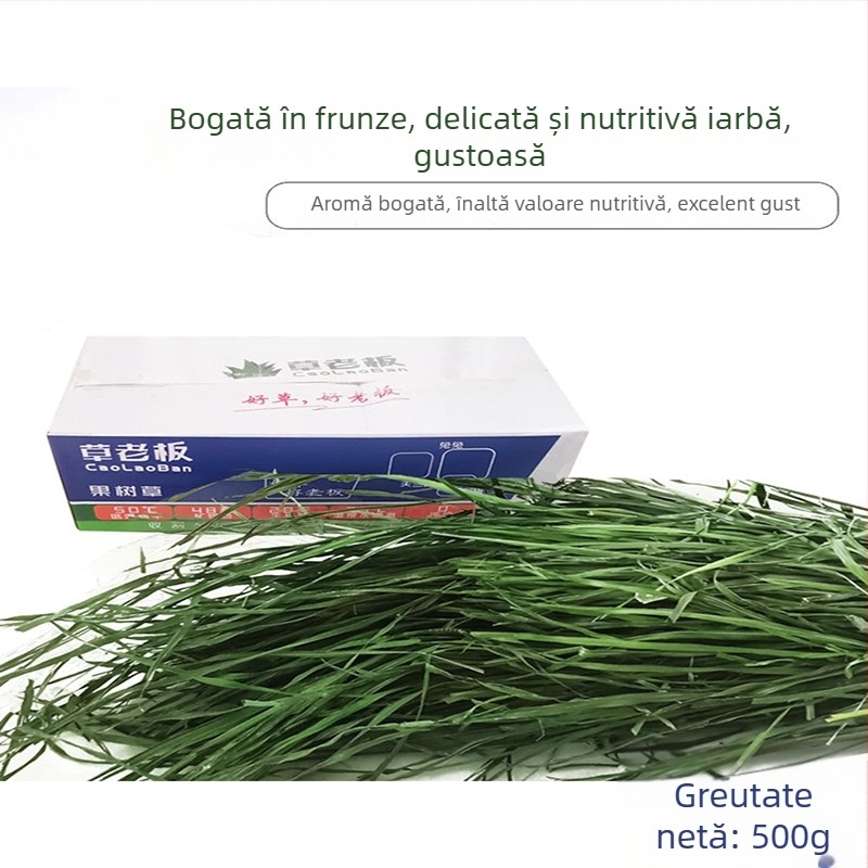Hrană umedă cu lucernă pentru iepuri adulți, porcușori de Guinea și chinchile