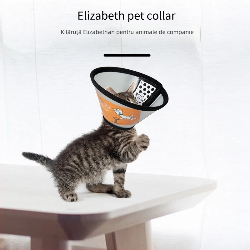 Guler Elizabethan pentru pisici și câini, protecție postoperatorie, cap de protecție împotriva zgârieturilor și mușcăturilor, Material PP/PE; Categoria Elizabeth Circle; Ambalare 100 buc.; Etichetă privată licențiată; Brand: Very good brand