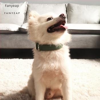 Colier pentru câine A1J30 – pânză, pentru câini, model A1J30, importat: Nu, IP autorizat: Nu