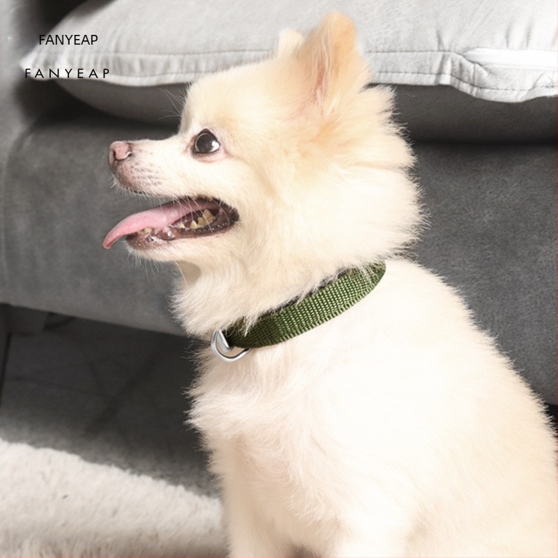 Colier pentru câine A1J30 – pânză, pentru câini, model A1J30, importat: Nu, IP autorizat: Nu