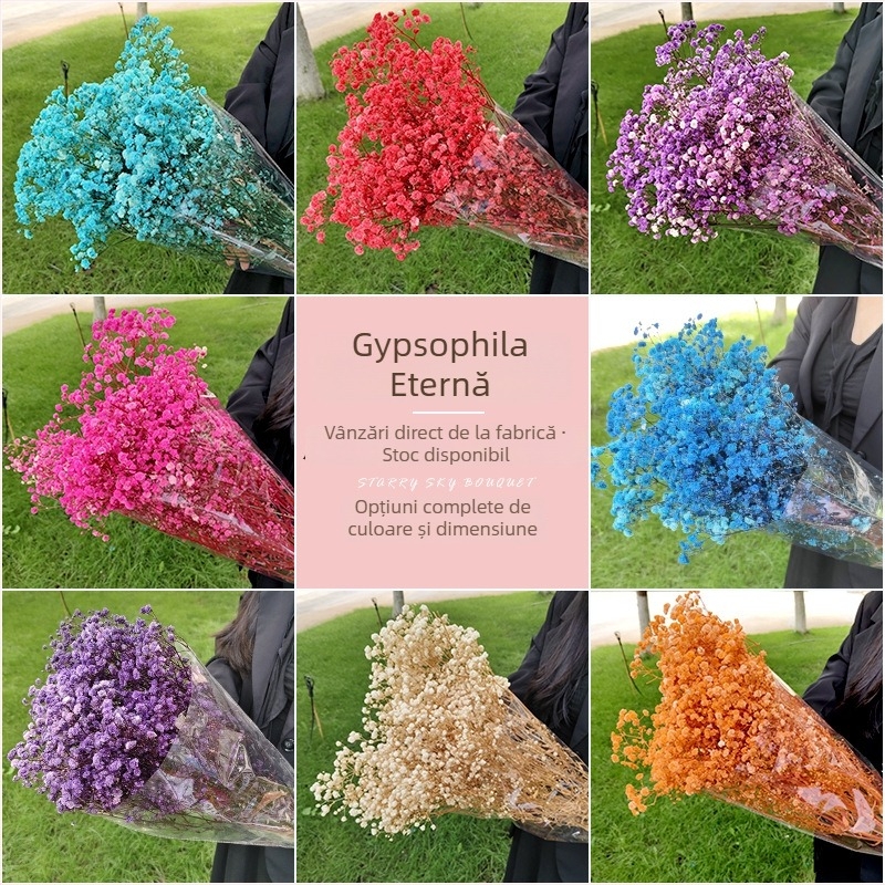 Buchet cu flori Gypsophila veșnice, 120 g – cadou pentru nunți, zile de naștere și absolvire
