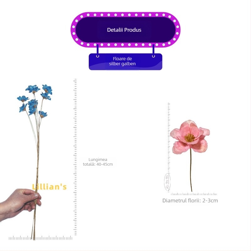 Lillian's Buchet handmade de flori uscate cu floare clopot argintiu