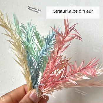 Kit DIY cu flori conservate | varietate cu mai multe straturi | Codul produsului Ali-727499540242