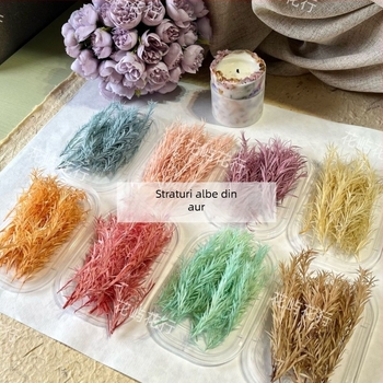 Kit DIY cu flori conservate | varietate cu mai multe straturi | Codul produsului Ali-727499540242