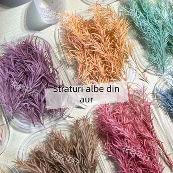 Kit DIY cu flori conservate | varietate cu mai multe straturi | Codul produsului Ali-727499540242