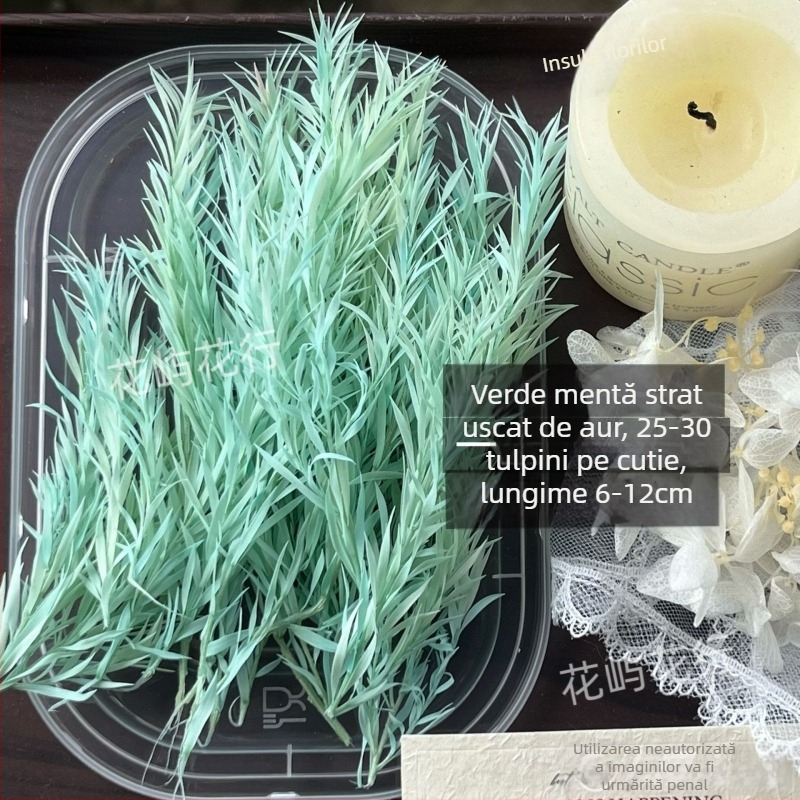 Kit DIY cu flori conservate | varietate cu mai multe straturi | Codul produsului Ali-727499540242