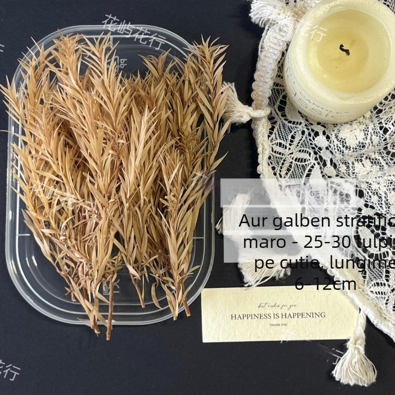 Kit DIY cu flori conservate | varietate cu mai multe straturi | Codul produsului Ali-727499540242