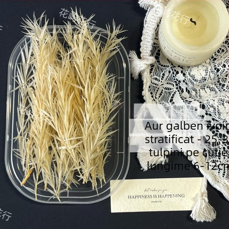 Kit DIY cu flori conservate | varietate cu mai multe straturi | Codul produsului Ali-727499540242