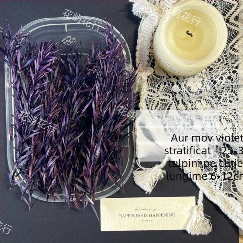 Kit DIY cu flori conservate | varietate cu mai multe straturi | Codul produsului Ali-727499540242