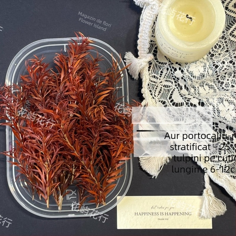 Kit DIY cu flori conservate | varietate cu mai multe straturi | Codul produsului Ali-727499540242