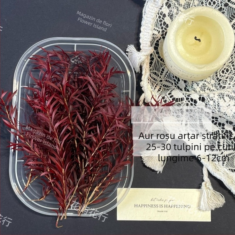 Kit DIY cu flori conservate | varietate cu mai multe straturi | Codul produsului Ali-727499540242