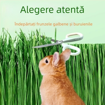 Hrană uscată pentru animale de companie – Yee/Italian Brand (Tip: hrană uscată; Brand: Yee/Italian Brand; Greutate: 500 g; Categorie: hrană pentru animale de companie; Etichetă privată licențiată: Da)