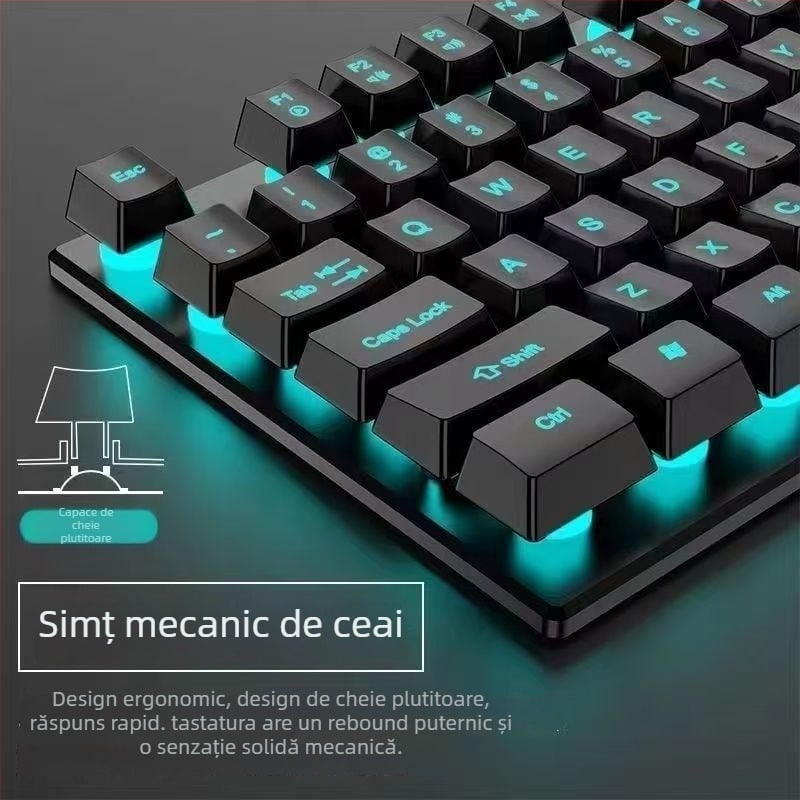 Set tastatură și mouse cu fir - tastatură cu membrană, USB, 98+ taste, ergonomic, iluminare monocromă