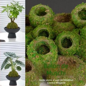 Ghiveci ceramic pentru bilă de mușchi Haoyi — vas de plantare pentru orchidă Dendrobium, micro peisaj, ambalaj carton, gata de așezat