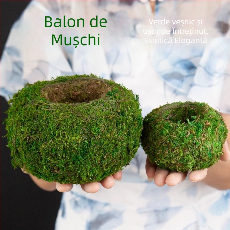 Ghiveci ceramic pentru bilă de mușchi Haoyi — vas de plantare pentru orchidă Dendrobium, micro peisaj, ambalaj carton, gata de așezat