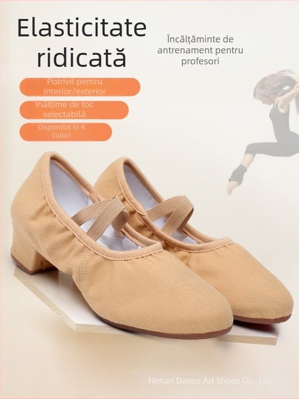 Pantofi de dans — partea superioară din pânză, talpă din cauciuc, respirabili, ușori, rezistenți la uzură; pentru balet, dans modern, dans latino