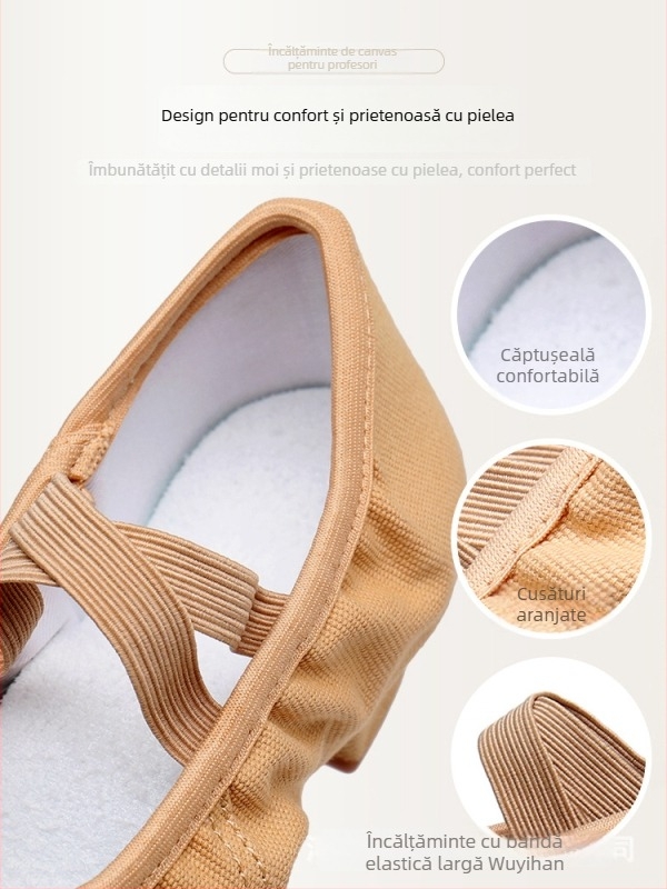 Pantofi de dans — partea superioară din pânză, talpă din cauciuc, respirabili, ușori, rezistenți la uzură; pentru balet, dans modern, dans latino