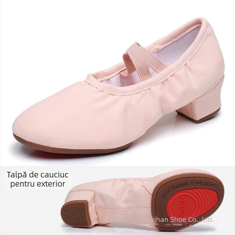 Pantofi de dans — partea superioară din pânză, talpă din cauciuc, respirabili, ușori, rezistenți la uzură; pentru balet, dans modern, dans latino