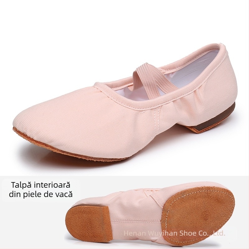 Pantofi de dans — partea superioară din pânză, talpă din cauciuc, respirabili, ușori, rezistenți la uzură; pentru balet, dans modern, dans latino