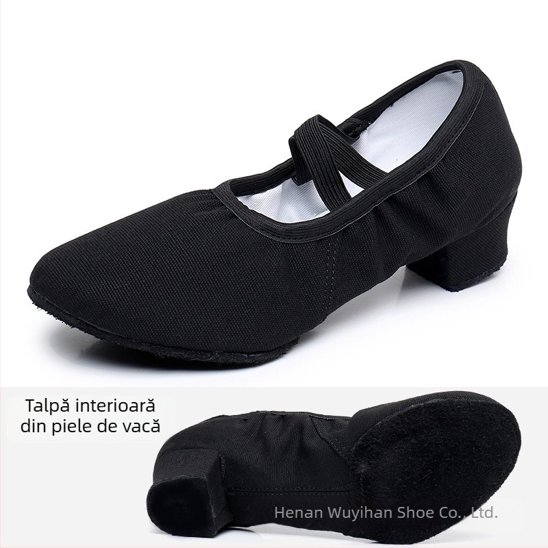Pantofi de dans — partea superioară din pânză, talpă din cauciuc, respirabili, ușori, rezistenți la uzură; pentru balet, dans modern, dans latino