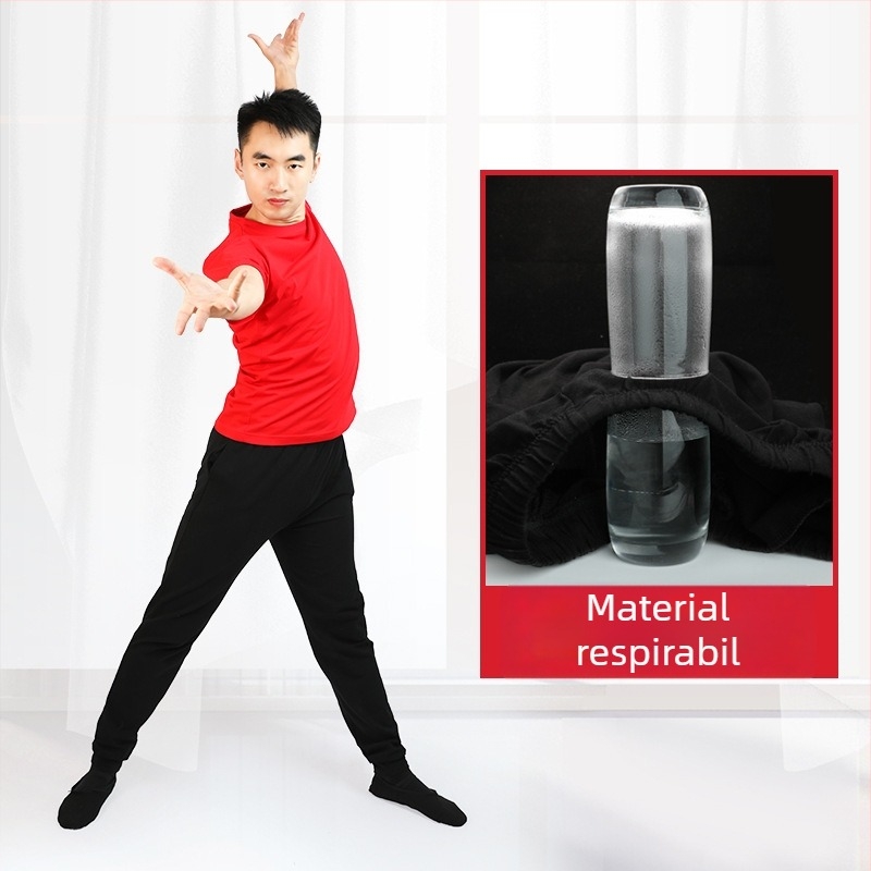 Set pentru dans modern masculin: top și pantaloni, 95% bumbac, pentru toate anotimpurile, reprezentații pe scenă.
