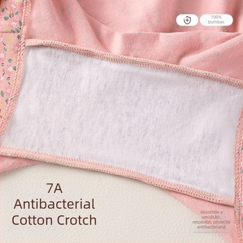 Chiloți din bumbac pentru femei, talie înaltă, croială lejeră, antibacterian, imprimeu floral, plus size