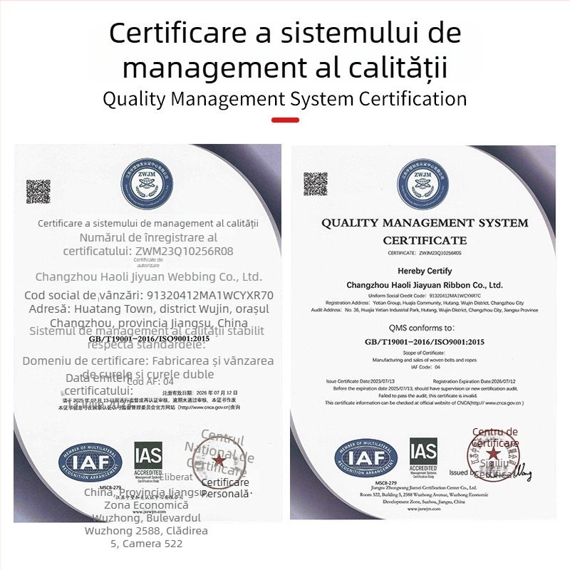 Bandă de legare din poliester cu cârlige duble și tensionator cu mecanism de strângere, durabilă, bandă plată