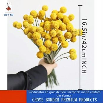 Buchet cu flori uscate în formă de sferă – Lily'an; Material: flori uscate; Varietate: Gold Ball; Potrivit ca dar pentru nunți, zile de naștere, inaugurări, absolvire, petreceri