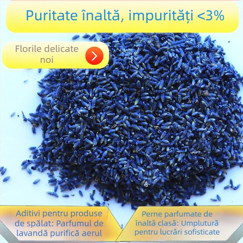 Flori uscate de lavandă - parfum floral natural, necolorate, ambalaj în vrac, 3% impurități, principalele componente: vârfuri uscate de lavandă