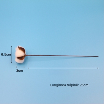 Ghirlandă de Crăciun pentru decor cu flori uscate de bumbac, flori eterne și bumbac simulant