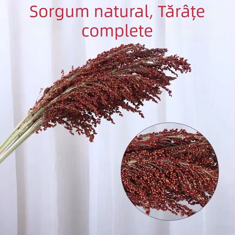 Buchete decorative de sorghum uscat, flori simulate, textură a venelor frunzelor uscate, necolorat, pentru pereți decorativi
