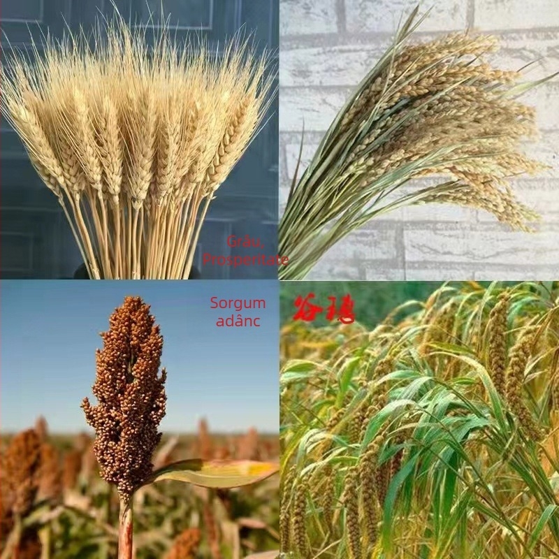 Buchete decorative de sorghum uscat, flori simulate, textură a venelor frunzelor uscate, necolorat, pentru pereți decorativi