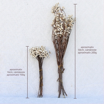 Flori uscate și flori veșnice – Material DIY pentru recuzită de fotografiat și decor de casă – Linzi Flowers | Material: Flori uscate; Flori veșnice | Proces: Altele | Brand: Linzi Flowers | Ocazii de cadouri: Absolvire, Nouă casă, Petreceri, Condoleanțe
