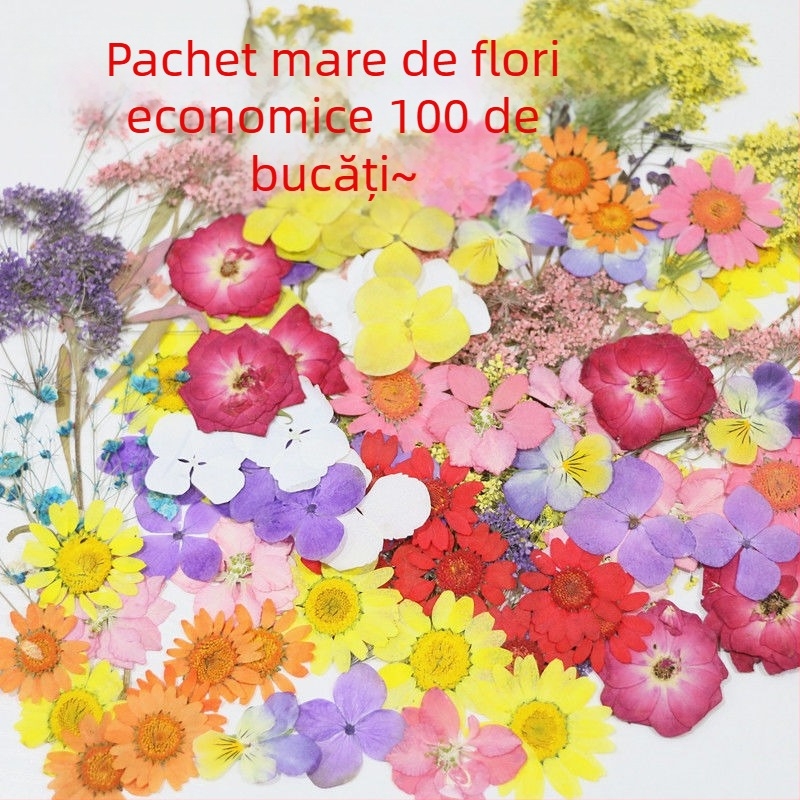 Specimen de flori uscate vopsite pentru DIY, artă în rășină și fotografie, pentru săculețe parfumate