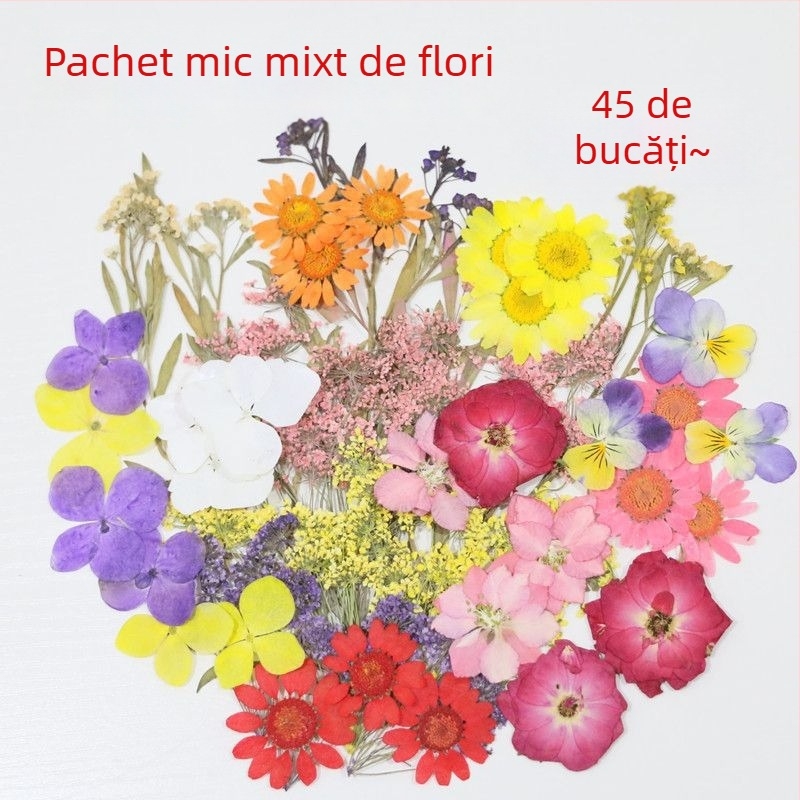Specimen de flori uscate vopsite pentru DIY, artă în rășină și fotografie, pentru săculețe parfumate