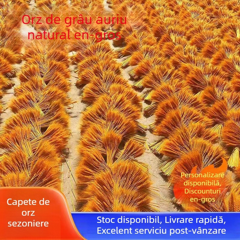 Buchet din ramuri uscate cu urechi de grâu — Tip: Ramuri; Clasificare: Flori uscate; Importat: Nu; Varietate: Consultație; Vopsit: Da