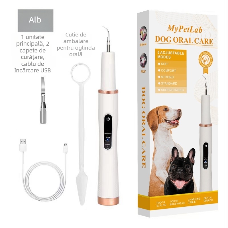 Curățător ultrasonic pentru dinți de câine – îndepărtare calcul dentar / tartru, instrument igienă orală, plastic, cutie cu 100 bucăți