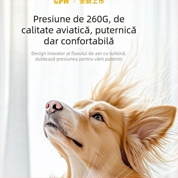 Uscător inteligent pentru animale de companie pentru pisici — utilizare în casă, sub 1000W, tensiune ≤36V