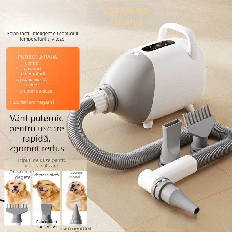 Uscător inteligent pentru animale de companie pentru pisici — utilizare în casă, sub 1000W, tensiune ≤36V