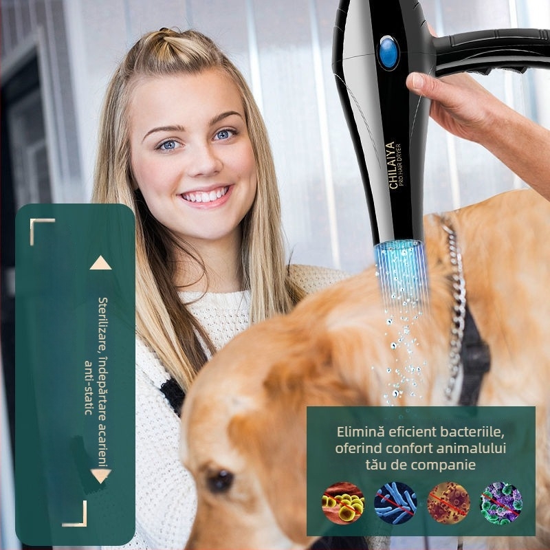 Uscător de păr pentru câini și pisici, putere mare, silențios, 2000W sau mai mult, ≤36V, Modelul 1, Tip Boom