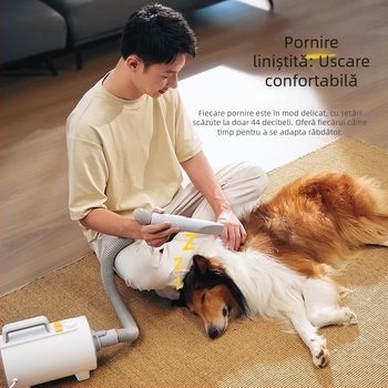 Uscător pentru animale de companie – zgomot redus, uscare rapidă, ioni negativi, 220V, sub 1000W